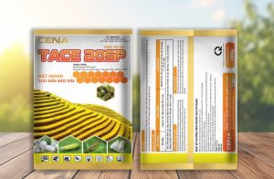thuoc-tru-sau-TACE-20SP-100Gr